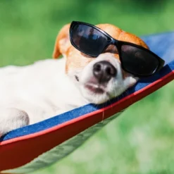 Hastings Home Portable Hammock With Stand -Hastings House GUEST 922e6c45 ff4f 4fe7 993e 7415b1bb88e5