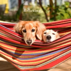 Hastings Home Double Hammock And Stand 12 Hastings Home Double Hammock And Stand -Hastings House GUEST 9e8ab37e 8c00 424d acba 1377631f6bcc