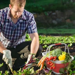 Hastings Home Collapsible Space-Saving Pop Up Handbasket And Storage Bin - Red -Hastings House GUEST e9e9f5b7 7371 4e74 ada2 c4f0511789ca