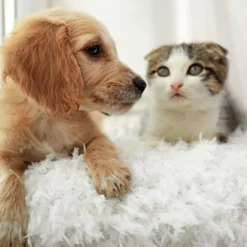 Hastings Home 24" Faux Fur Shag Pillow - Gray -Hastings House GUEST f1b410c7 1767 4339 9396 3b2960b8fa21